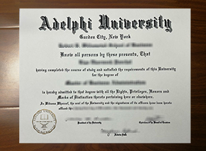 Adelphi University degree