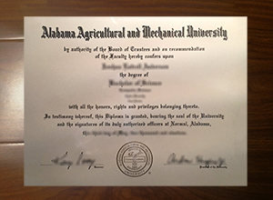 Alabama A&M University diploma