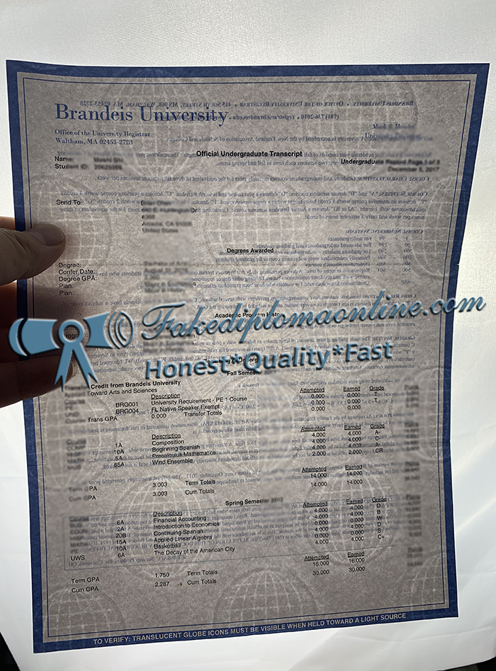 Brandeis University transcript