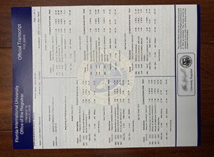 FIU transcript