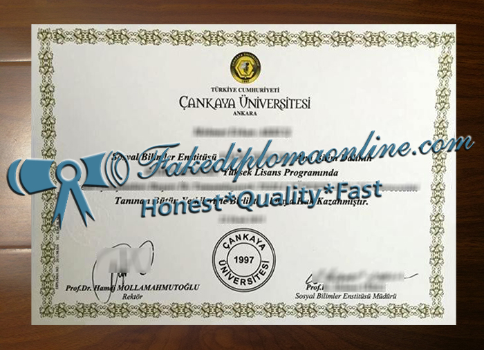 Çankaya Üniversitesi degree