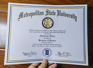 Metropolitan State University degree