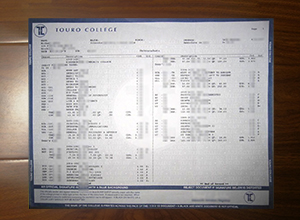 Touro College transcript