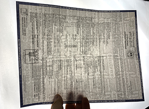 University of Dayton transcript