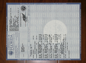 University of Florida transcript