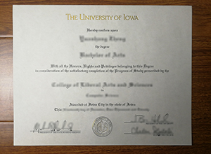 University of Iowa degree