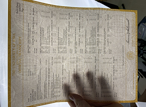 University of Iowa transcript