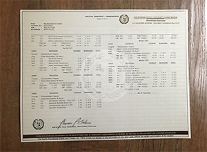 CSULB transcript
