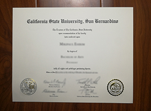 Cal State San Bernardino degree