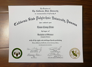 California State Polytechnic University Pomona diploma
