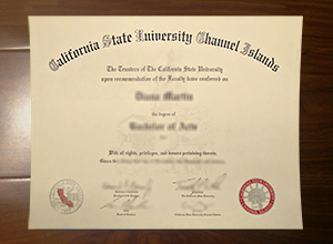 CSU Channel Islands degree