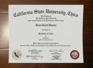 California State University Chico degree