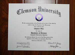 Clemson University degree