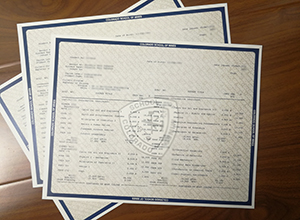 Colorado School of Mines transcript