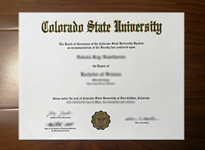 Colorado State University degree