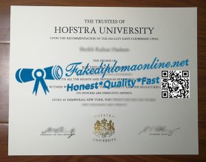 Hofstra University degree