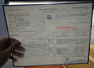 Hofstra University transcript