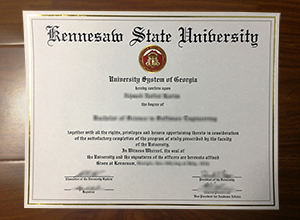 Kennesaw State University degree