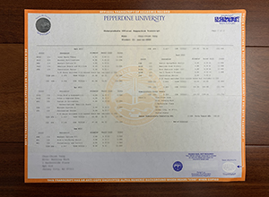 Pepperdine University transcript