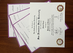 San Francisco State University degree