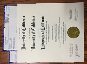 University of California Los Angeles (UCLA) degree
