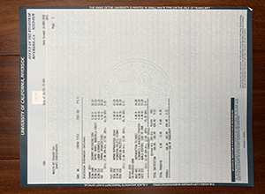UC Riverside transcript