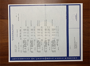 University of California Santa Barbara transcript