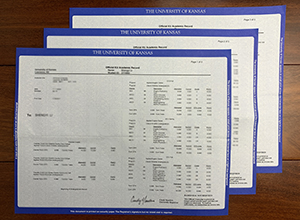 University of Kansas transcript