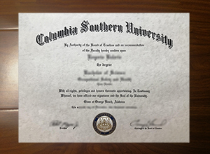 Columbia Southern University diploma