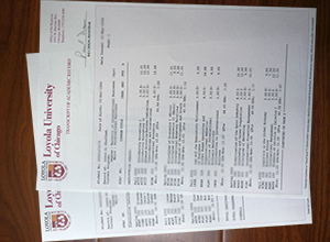 Loyola University Chicago transcript