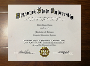 Missouri State University degree