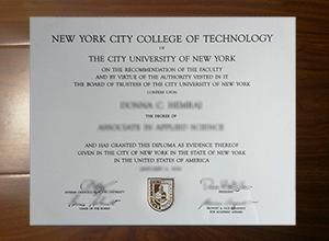 New York City College of Technology degree