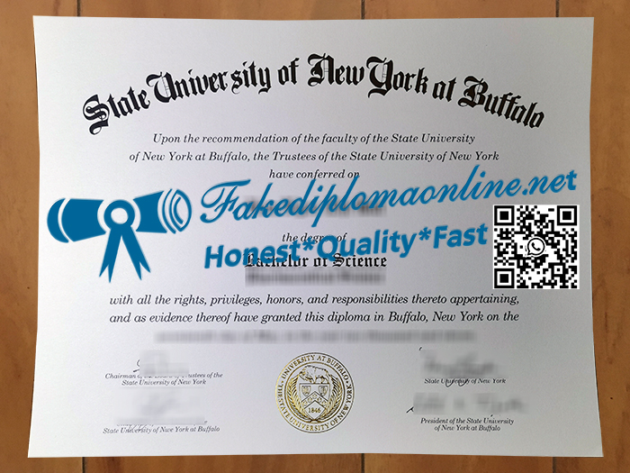 University at Buffalo degree