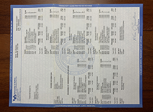 University at Buffalo transcript