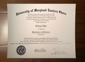 University of Maryland Eastern Shore diploma