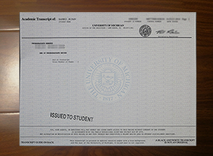 University of Michigan transcript