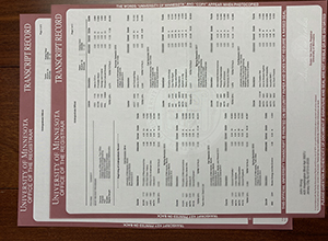University of Minnesota transcript