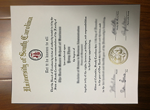 University of South Carolina degree