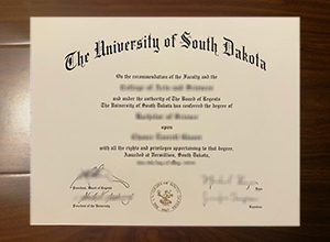 University of South Dakota degree