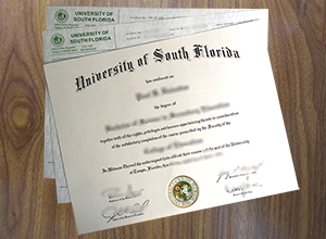 University of South Florida transcript