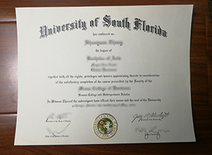 University of South Florida diploma