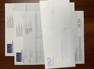 Pace University transcript