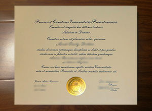 Princeton University diploma