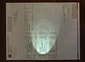 Temple University transcript