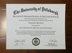 University of Pittsburgh diploma