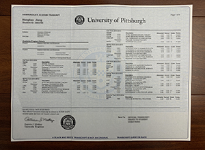 University of Pittsburgh transcript