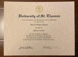 University of St. Thomas degree