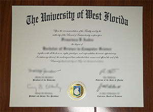 University of West Florida degree