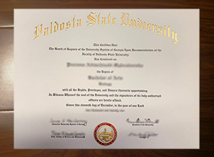Valdosta State University degree