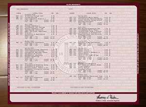 Elon University transcript